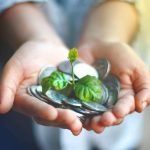 Mentalidad de properidad